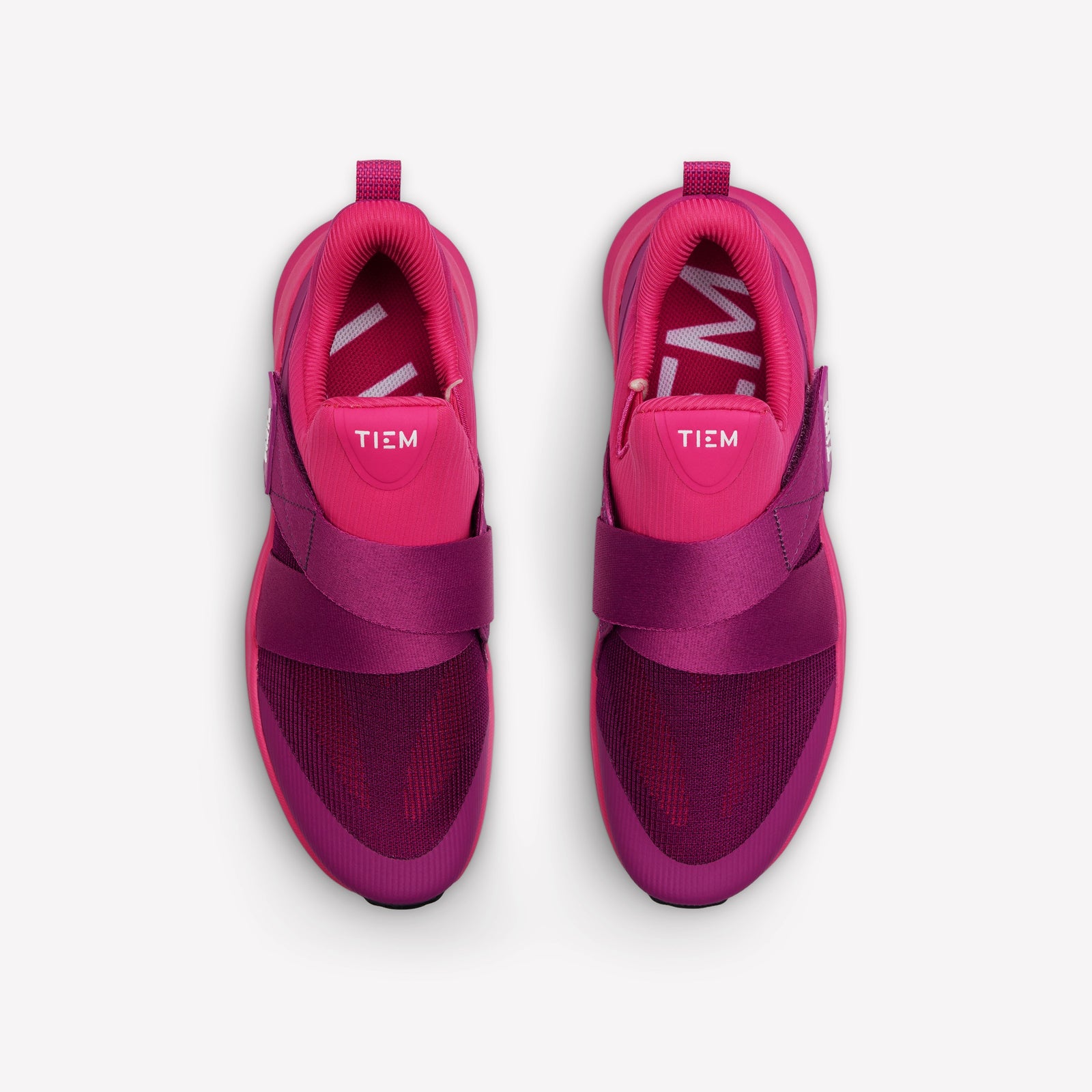 Lynx - Orchid Pink