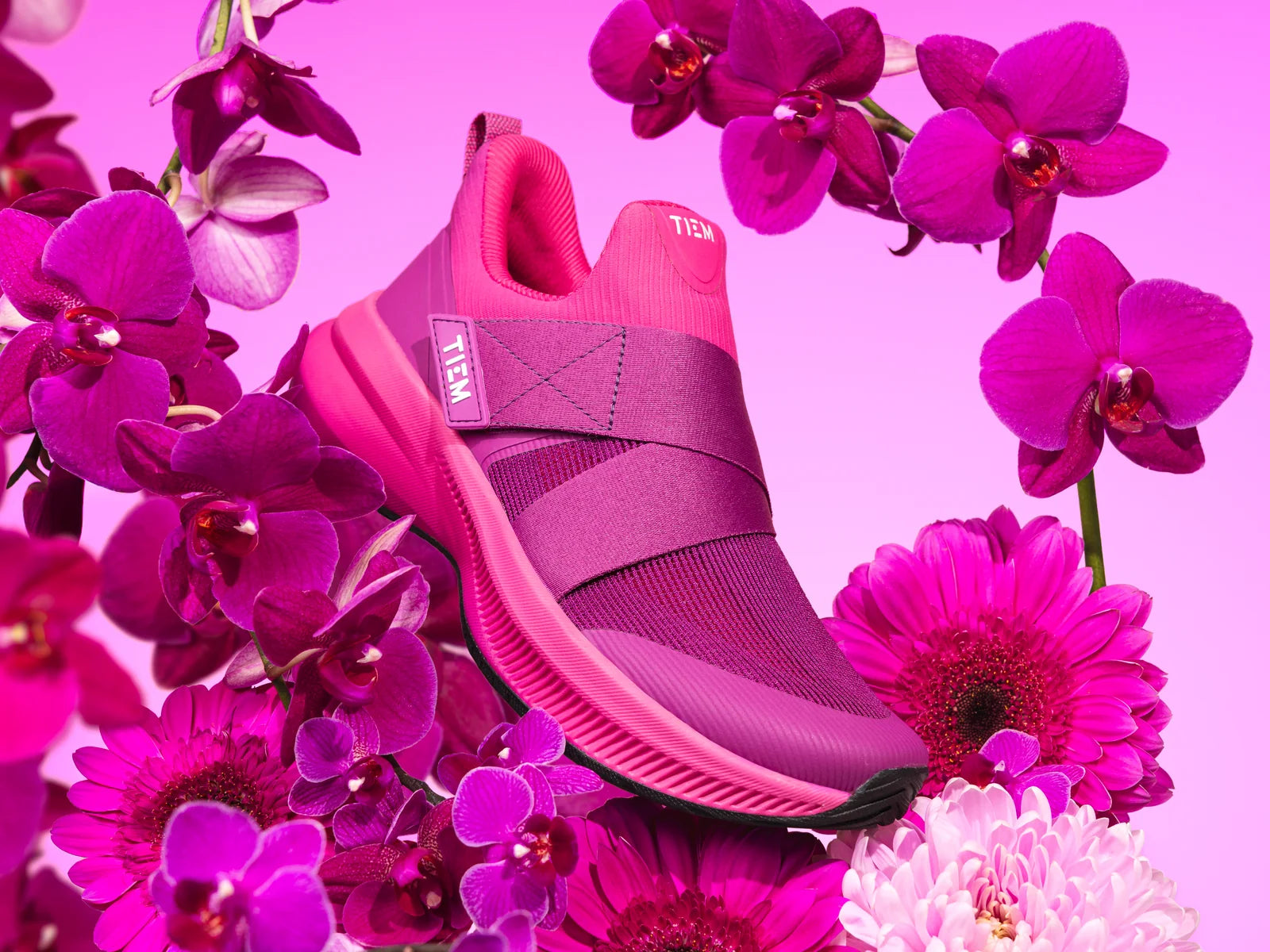 TIEM Lynx sneaker in Orchid Pink nested in orchids and gerbera daisies